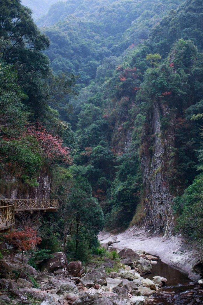 直播间里 化纠纷